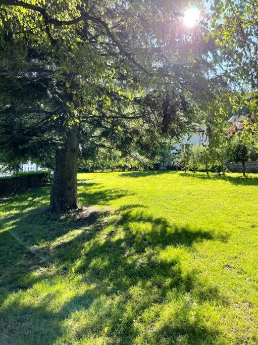 Appartamento Ginepro Pian dei Pradi Exterior foto